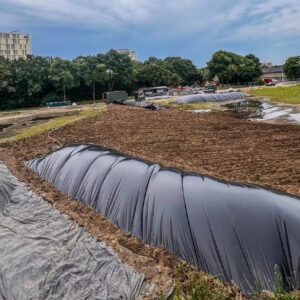 Bestrijden Japanse Duizendknoop Grote Oppervlaktes