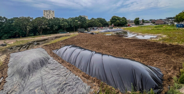 Bestrijden Japanse Duizendknoop Grote Oppervlaktes