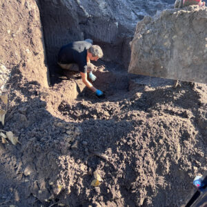 Bestrijding Japanse Duizendknoop