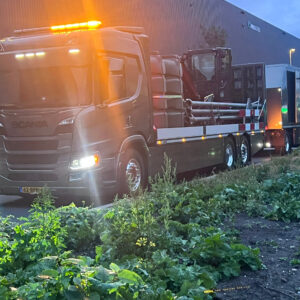 Japanse Duizendknoop Bestrijden en Verwijderen