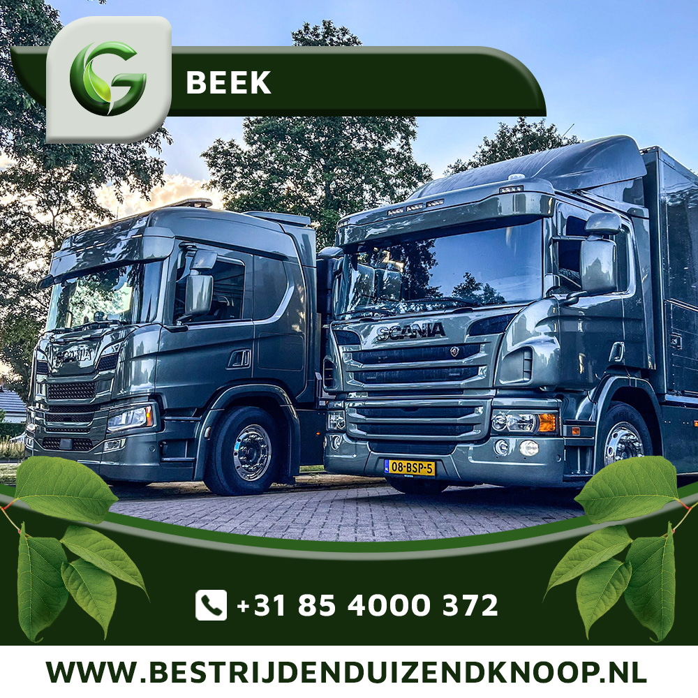 Japanse Duizendknoop Bestrijden Beek