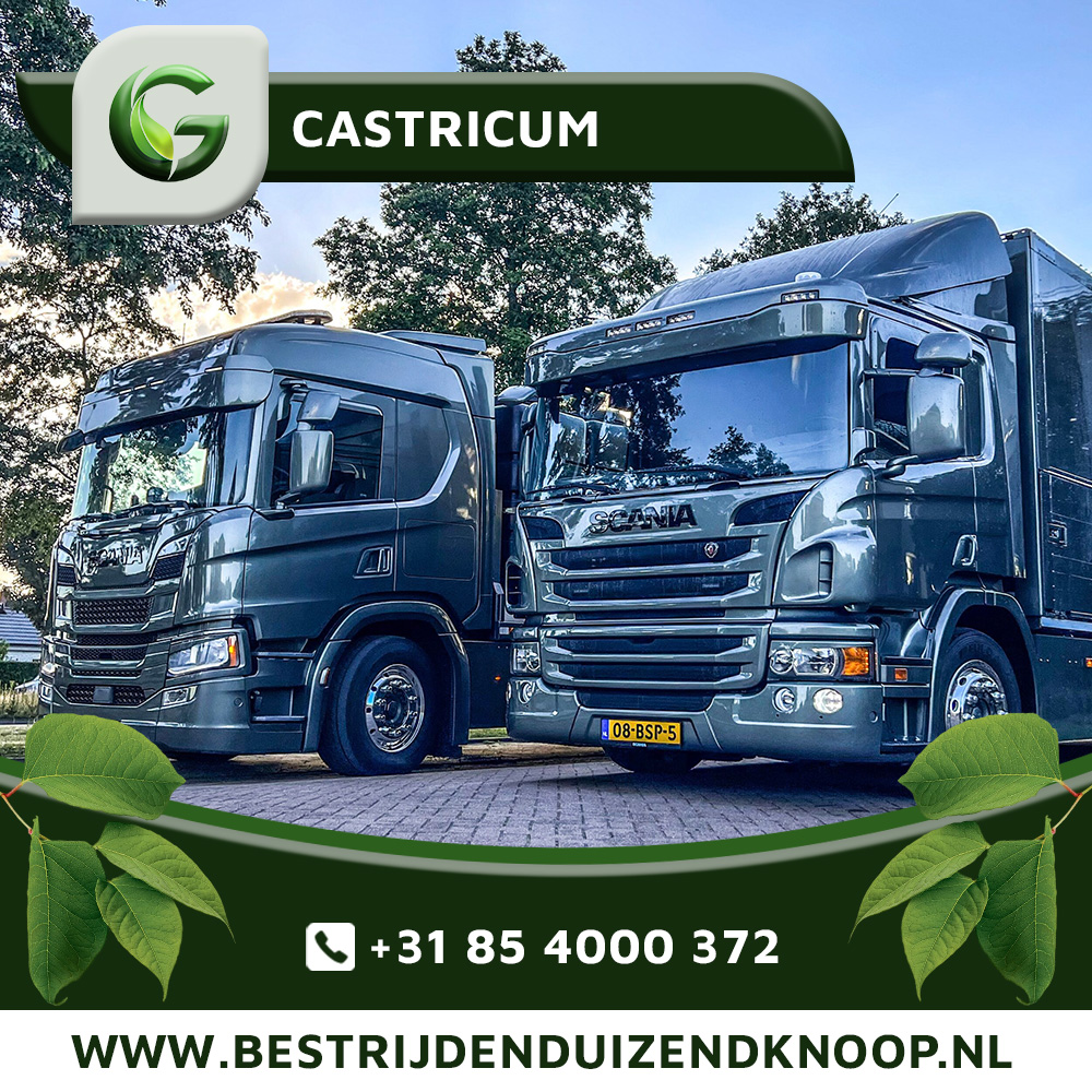 Japanse Duizendknoop Bestrijden Castricum