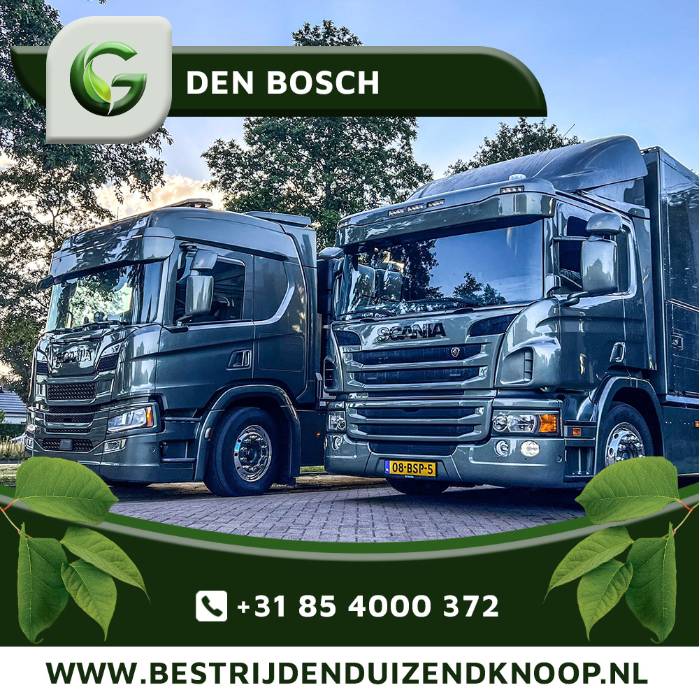 Japanse Duizendknoop Bestrijden Den Bosch