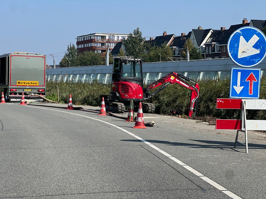Japanse Duizendknoop Bestrijden Gemeente