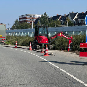 Japanse Duizendknoop Bestrijden Gemeente