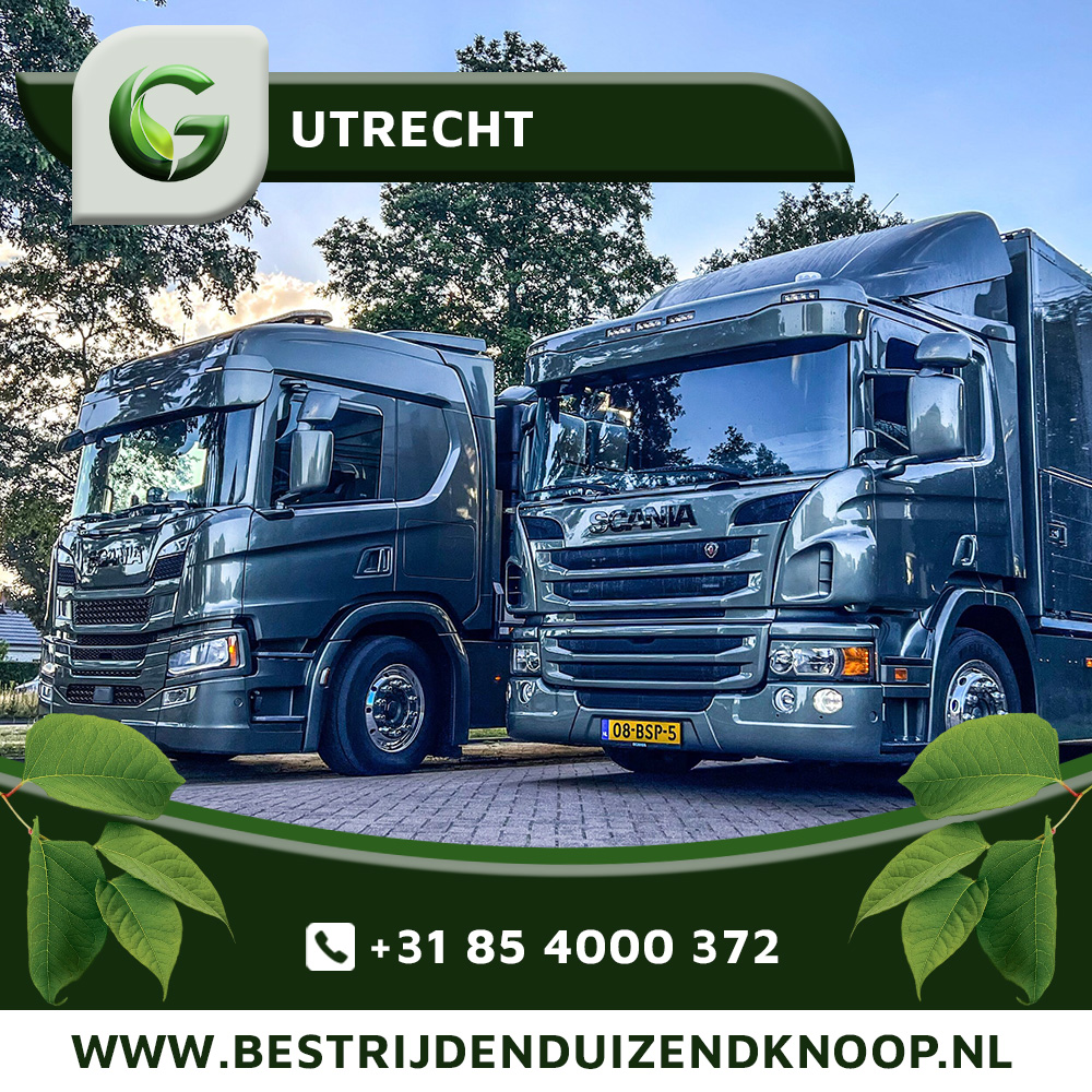 Japanse Duizendknoop Bestrijden Utrecht