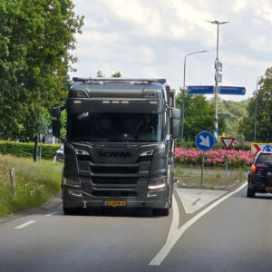 Japanse Duizendknoop Bestrijding en Verwijderen