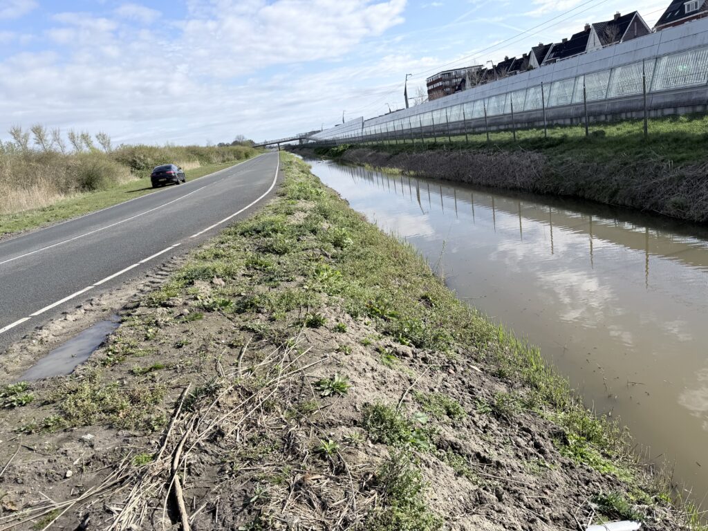 Bestrijding Japanse duizendknoop in zware kleigrond