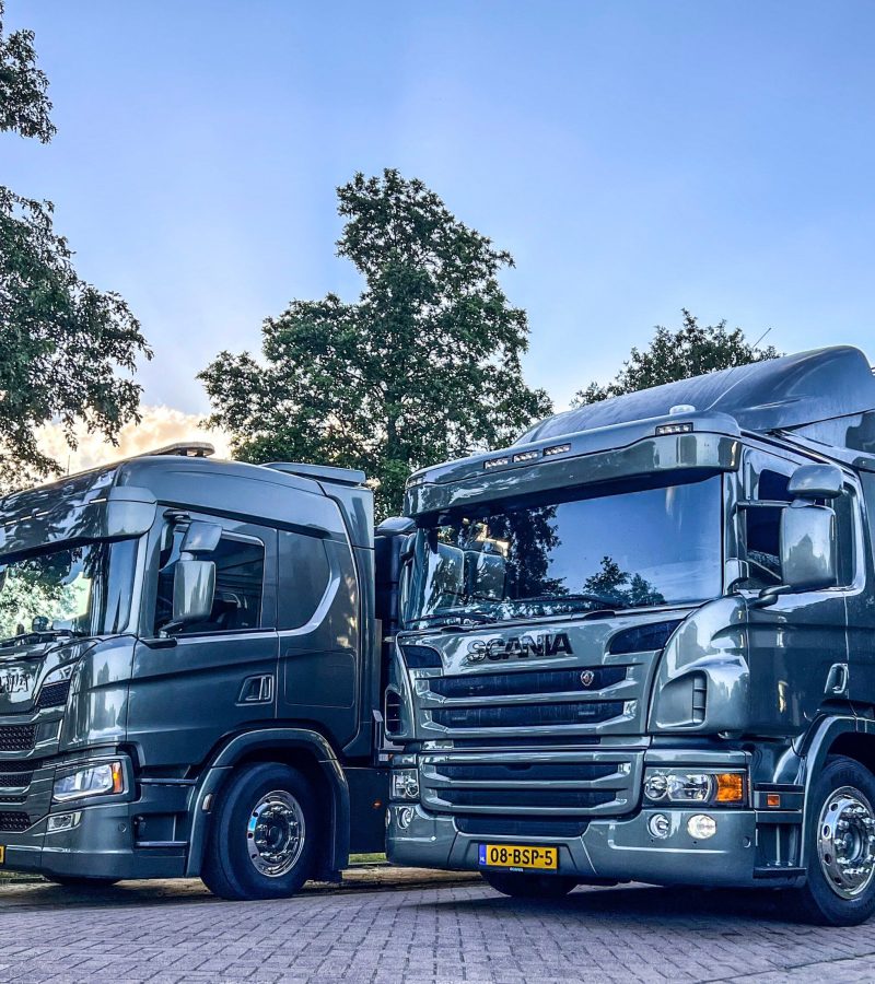 Japanse Duizendknoop Bestrijden